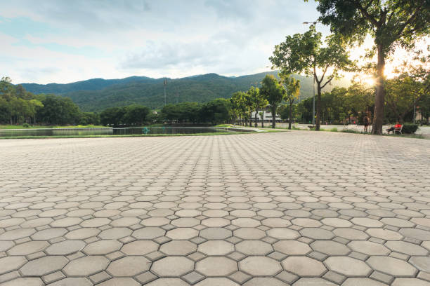 Reasons to Select Us for Your Driveway Paving Requirements in Paonia, CO